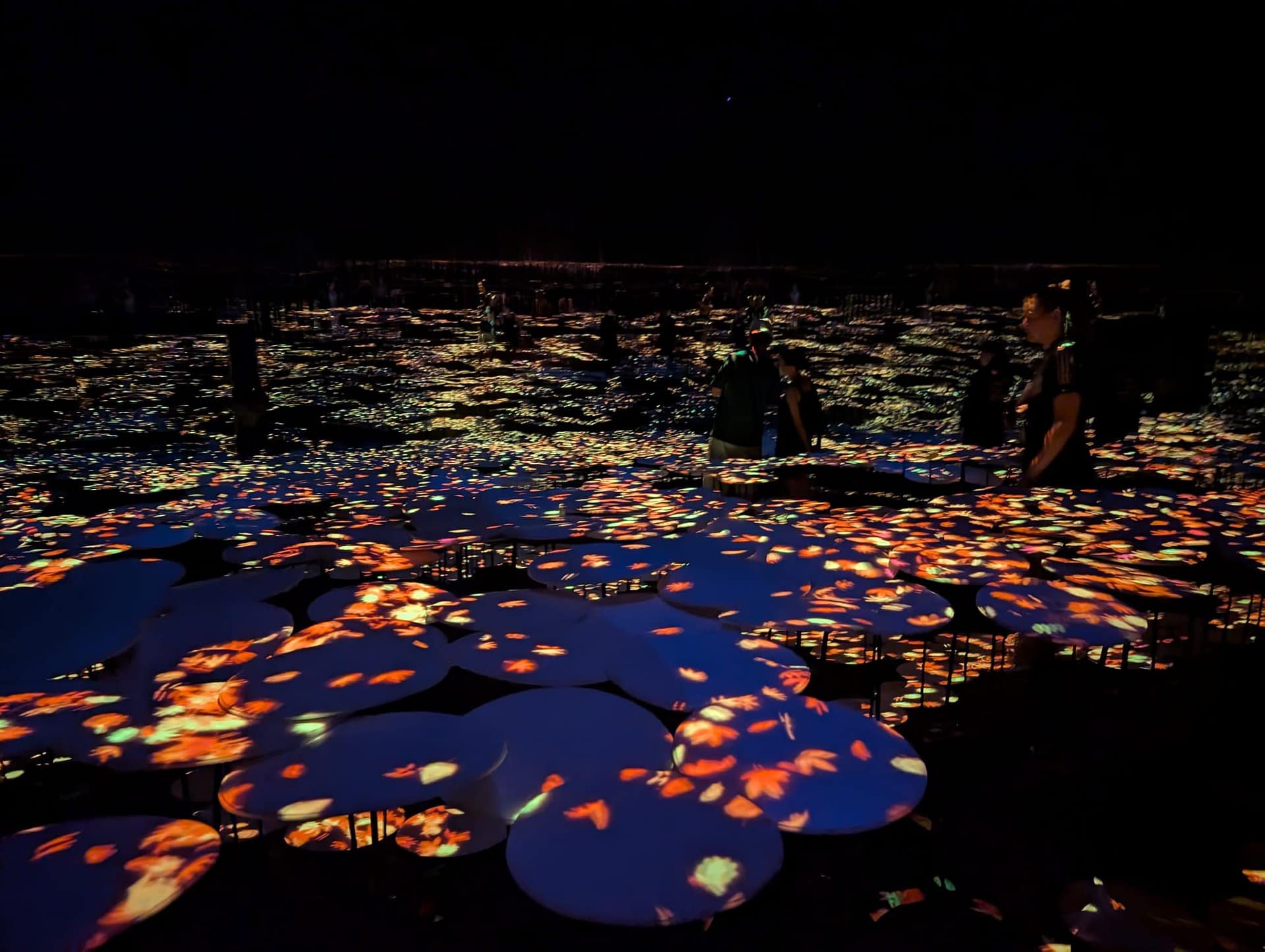 Interactive digital flower projection room at TeamLab Borderless