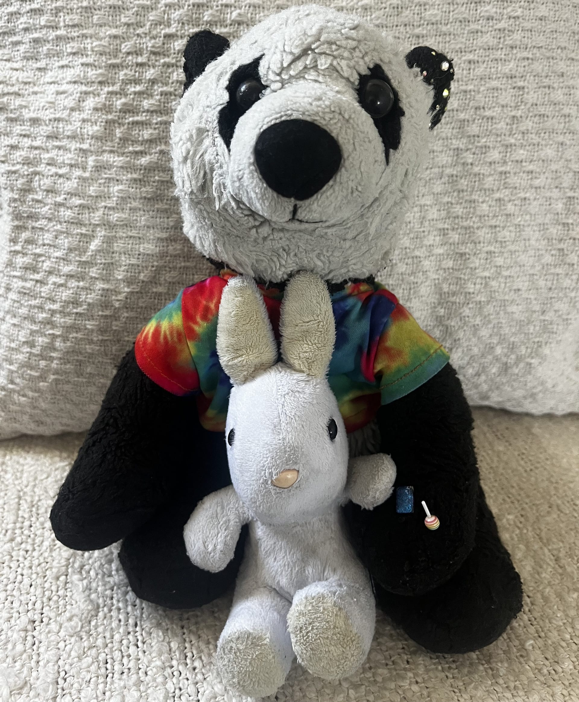 Comfort objects belonging to an autistic adult: a soft bunny and panda toy