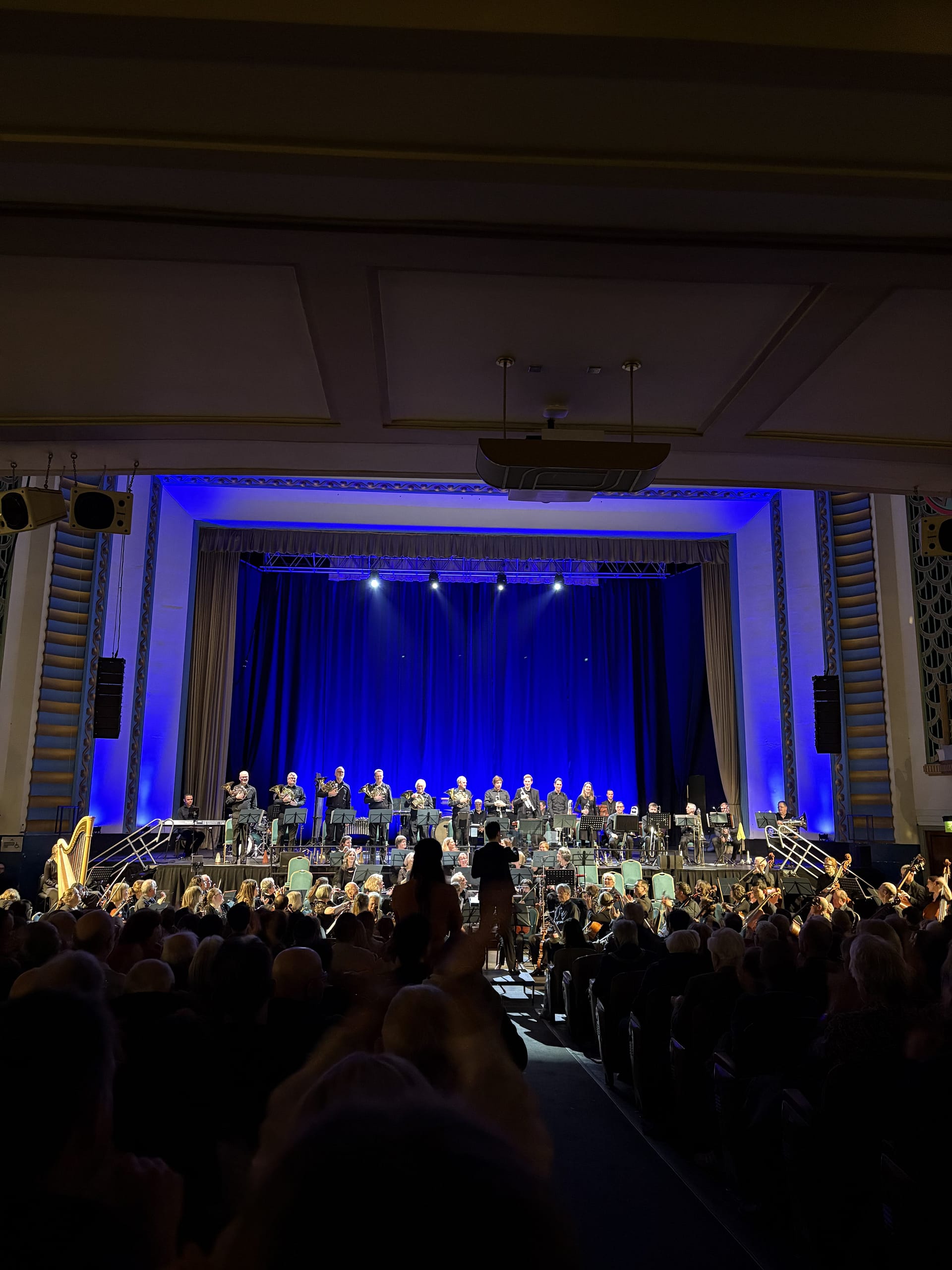 Live orchestra performance in a theatre with seated audience, illustrating an autistic sensory experience of music